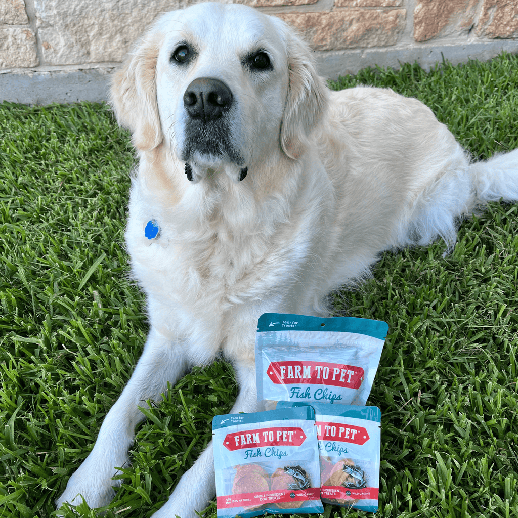 Fish Chips Snack Pack Bundles | Dog Treats for Training & Travel