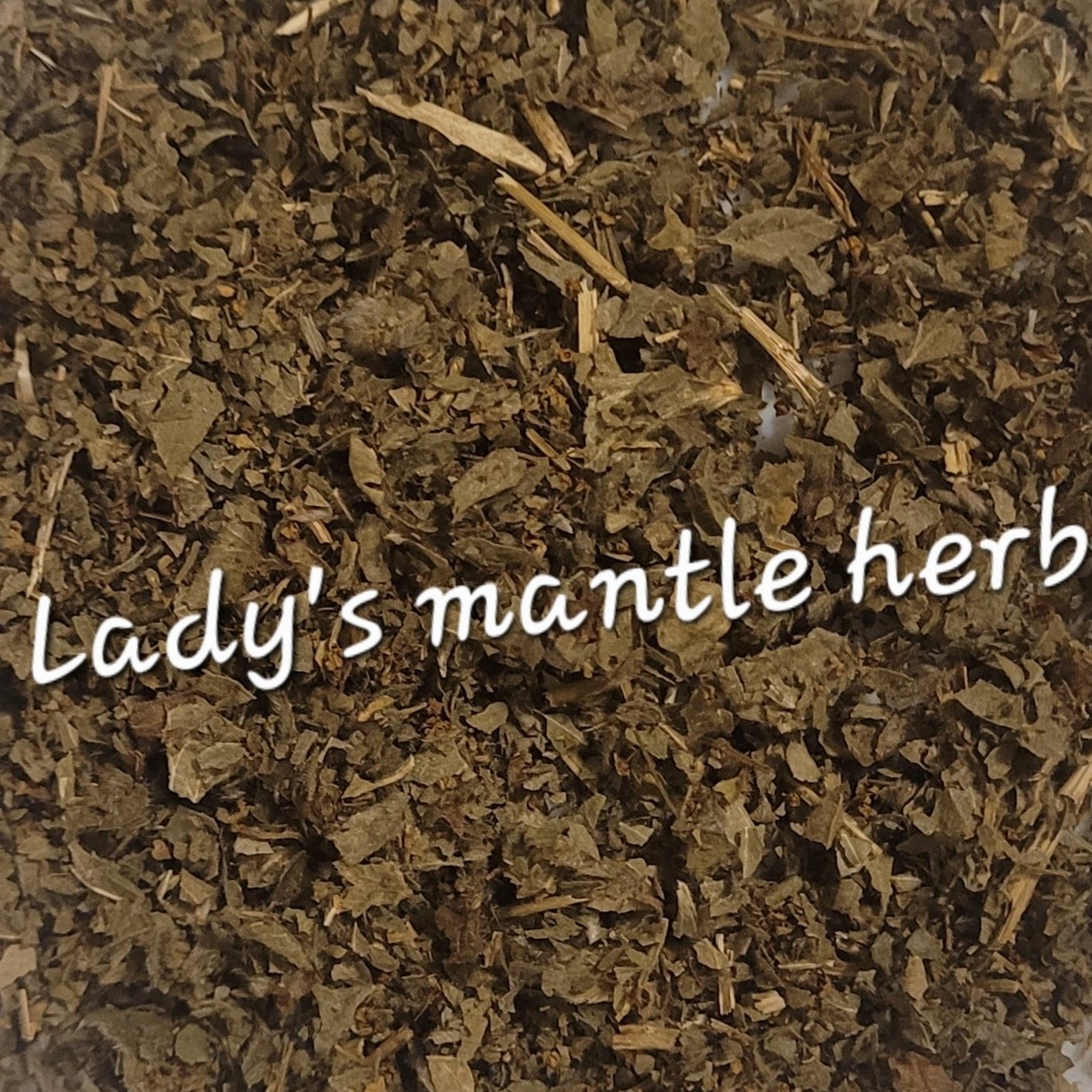 Lady's Mantle Herb | Women's Wellness & Herbal Balance